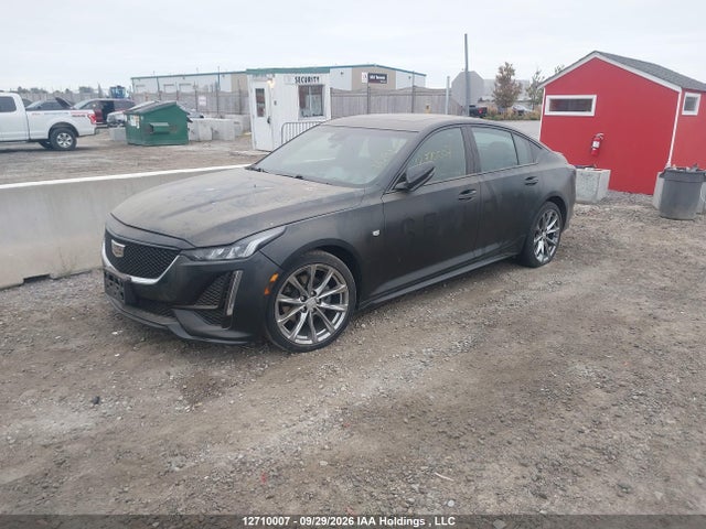 2023 Cadillac Ct5 Sport მანქანა იყიდება აუქციონზე, vin: 1G6DU5RK3P0104387, აუქციონის ნომერი: 12710007