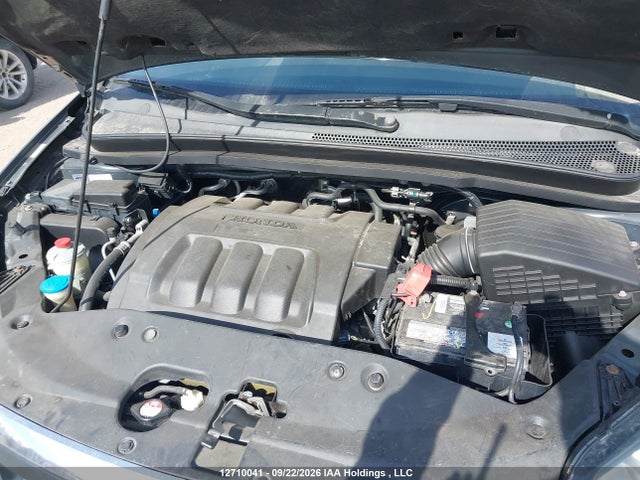 2006 Honda Odyssey Exl მანქანა იყიდება აუქციონზე, vin: 5FNRL38656B504370, აუქციონის ნომერი: 12710041