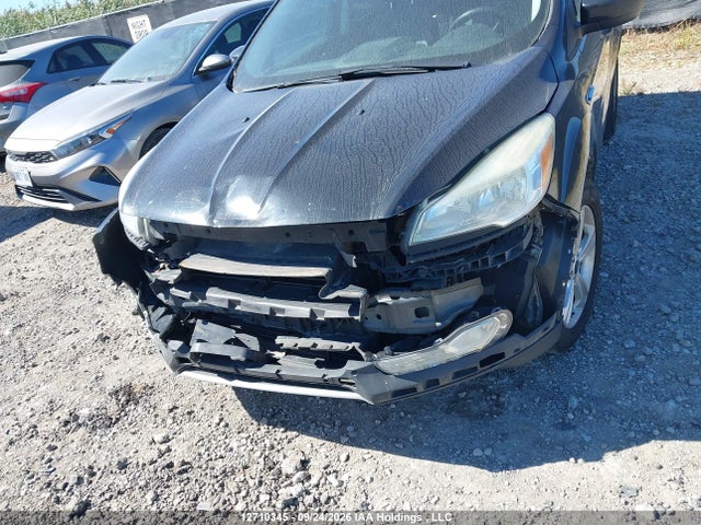 2014 Ford Escape Se მანქანა იყიდება აუქციონზე, vin: 1FMCU0GX0EUD28261, აუქციონის ნომერი: 12710345