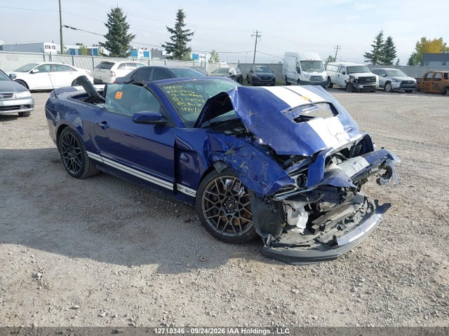 Aukcja sprzedaży 2013 Ford Mustang Shelby Gt500, vin: 1ZVBP8KZ4D5234937, numer aukcji: 12710346