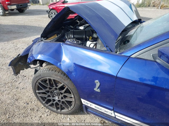 12710346 :رقم المزاد ، 1ZVBP8KZ4D5234937 vin ، 2013 Ford Mustang Shelby Gt500 مزاد بيع