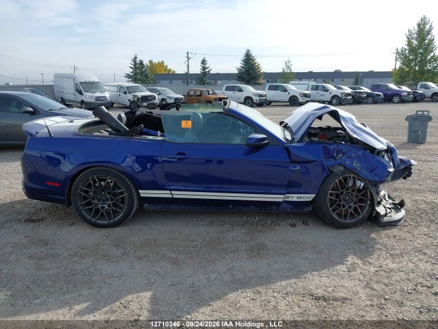 12710346 :رقم المزاد ، 1ZVBP8KZ4D5234937 vin ، 2013 Ford Mustang Shelby Gt500 مزاد بيع