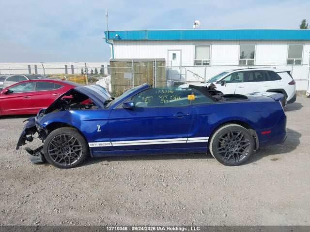 12710346 :رقم المزاد ، 1ZVBP8KZ4D5234937 vin ، 2013 Ford Mustang Shelby Gt500 مزاد بيع