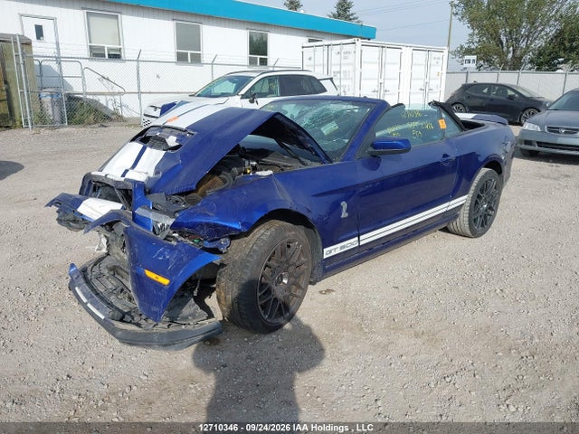 12710346 :رقم المزاد ، 1ZVBP8KZ4D5234937 vin ، 2013 Ford Mustang Shelby Gt500 مزاد بيع