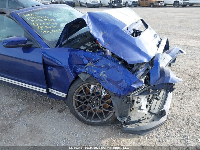 12710346 :رقم المزاد ، 1ZVBP8KZ4D5234937 vin ، 2013 Ford Mustang Shelby Gt500 مزاد بيع