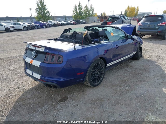12710346 :رقم المزاد ، 1ZVBP8KZ4D5234937 vin ، 2013 Ford Mustang Shelby Gt500 مزاد بيع