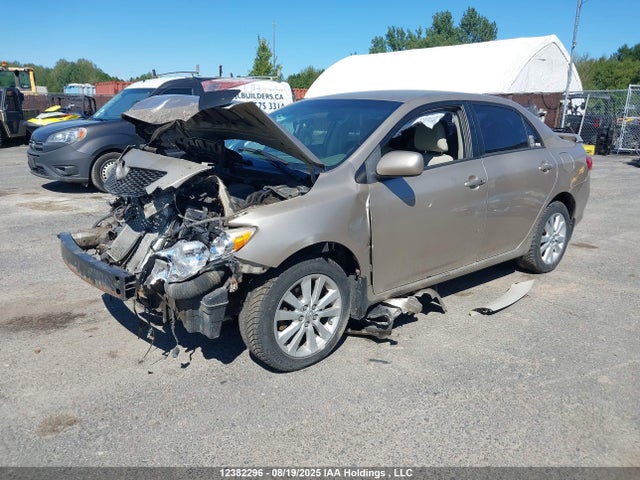 Продажа на аукционе авто 2010 Toyota Corolla Le, vin: 2T1BU4EE7AC198267, номер лота: 12382296
