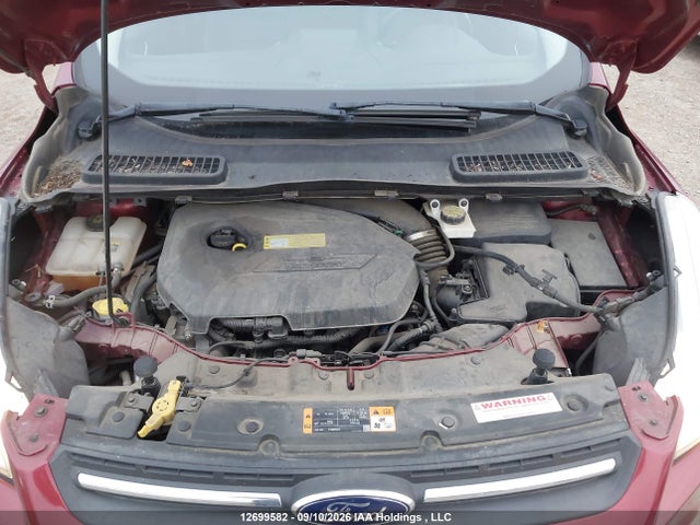 Aukcja sprzedaży 2013 Ford Escape Se, vin: 1FMCU0GX2DUD13338, numer aukcji: 12699582