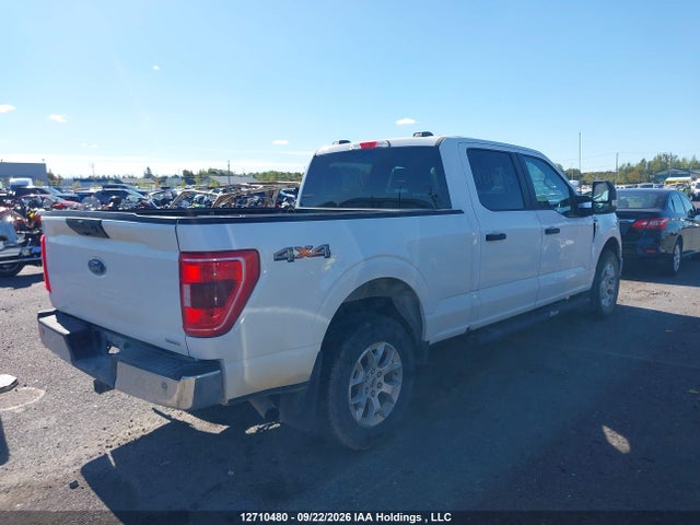 Продаж на аукціоні авто 2023 Ford F150 Supercrew, vin: 1FTFW1E83PFA66725, номер лоту: 12710480