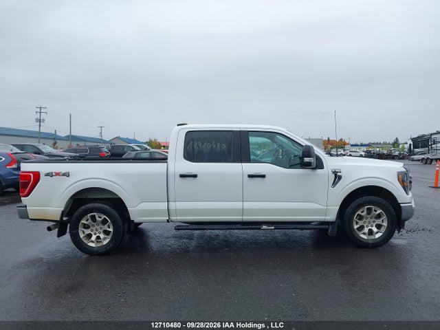 Продаж на аукціоні авто 2023 Ford F150 Supercrew, vin: 1FTFW1E83PFA66725, номер лоту: 12710480