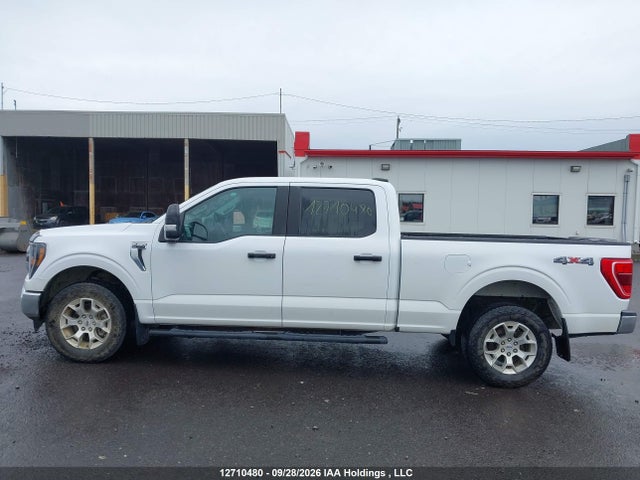 Продаж на аукціоні авто 2023 Ford F150 Supercrew, vin: 1FTFW1E83PFA66725, номер лоту: 12710480