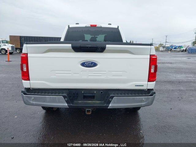 Продаж на аукціоні авто 2023 Ford F150 Supercrew, vin: 1FTFW1E83PFA66725, номер лоту: 12710480