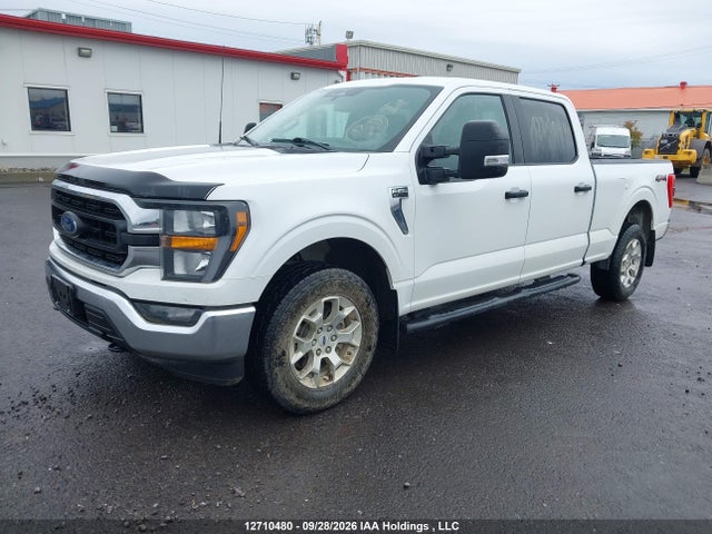 Продаж на аукціоні авто 2023 Ford F150 Supercrew, vin: 1FTFW1E83PFA66725, номер лоту: 12710480