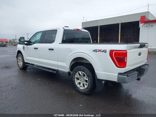 Продаж на аукціоні авто 2023 Ford F150 Supercrew, vin: 1FTFW1E83PFA66725, номер лоту: 12710480