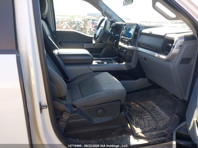 Продаж на аукціоні авто 2023 Ford F150 Supercrew, vin: 1FTFW1E83PFA66725, номер лоту: 12710480