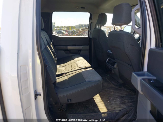 Продаж на аукціоні авто 2023 Ford F150 Supercrew, vin: 1FTFW1E83PFA66725, номер лоту: 12710480