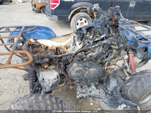 Yamaha Yfm700 G 2019 5Y4AMK2W0KA300938 Image 5