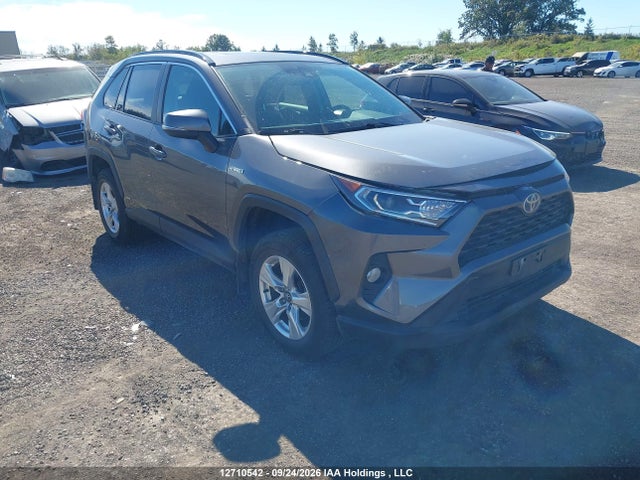 12710542 :رقم المزاد ، 2T3RWRFV3LW077894 vin ، 2020 Toyota Rav4 Hybrid Xle مزاد بيع