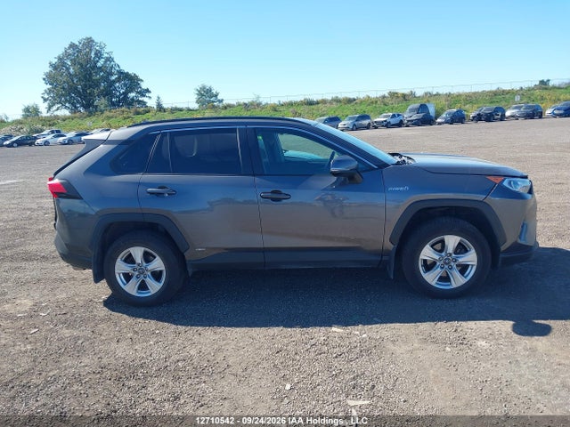 12710542 :رقم المزاد ، 2T3RWRFV3LW077894 vin ، 2020 Toyota Rav4 Hybrid Xle مزاد بيع
