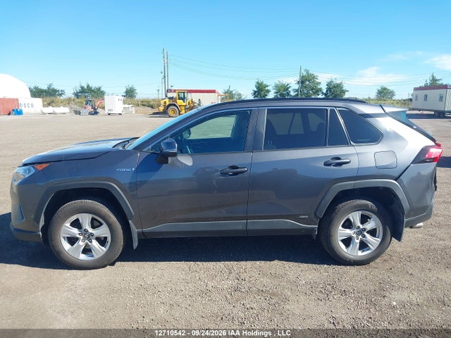 12710542 :رقم المزاد ، 2T3RWRFV3LW077894 vin ، 2020 Toyota Rav4 Hybrid Xle مزاد بيع