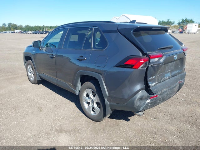 12710542 :رقم المزاد ، 2T3RWRFV3LW077894 vin ، 2020 Toyota Rav4 Hybrid Xle مزاد بيع