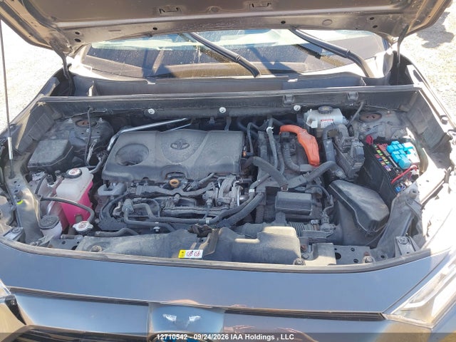 12710542 :رقم المزاد ، 2T3RWRFV3LW077894 vin ، 2020 Toyota Rav4 Hybrid Xle مزاد بيع