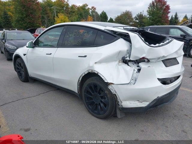 Tesla Model Y 2023 7SAYGDEE1PF591268 Image 3