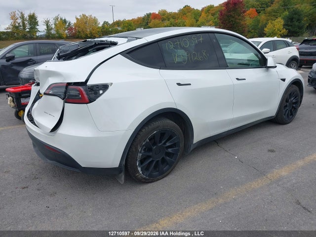 Tesla Model Y 2023 7SAYGDEE1PF591268 Image 4