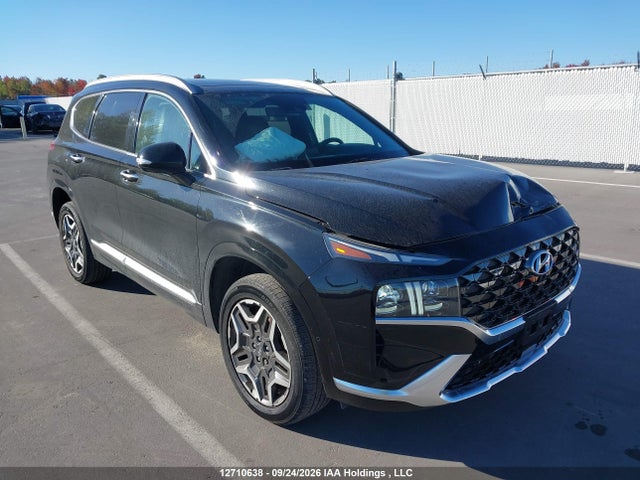 2021 Hyundai Santa Fe Calligraphy მანქანა იყიდება აუქციონზე, vin: 5NMS5DAL0MH334092, აუქციონის ნომერი: 12710638