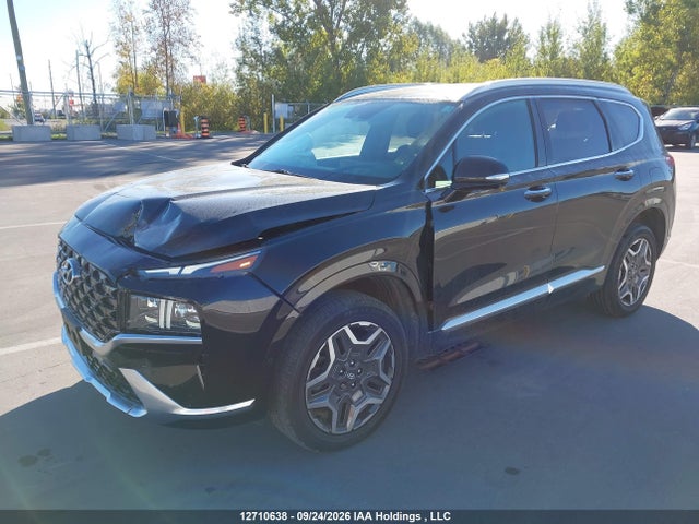 2021 Hyundai Santa Fe Calligraphy მანქანა იყიდება აუქციონზე, vin: 5NMS5DAL0MH334092, აუქციონის ნომერი: 12710638