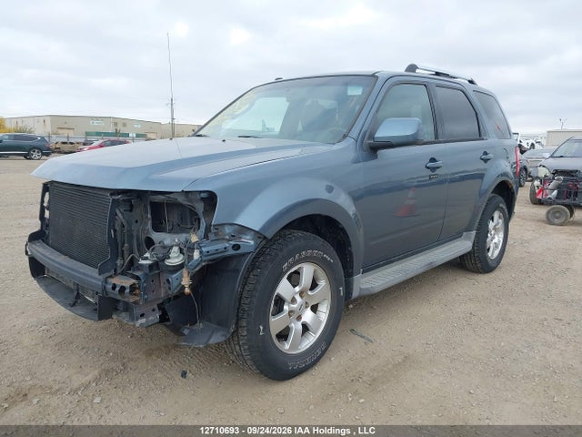 Продажа на аукционе авто 2010 Ford Escape Limited, vin: 1FMCU9EG0AKB73238, номер лота: 12710693