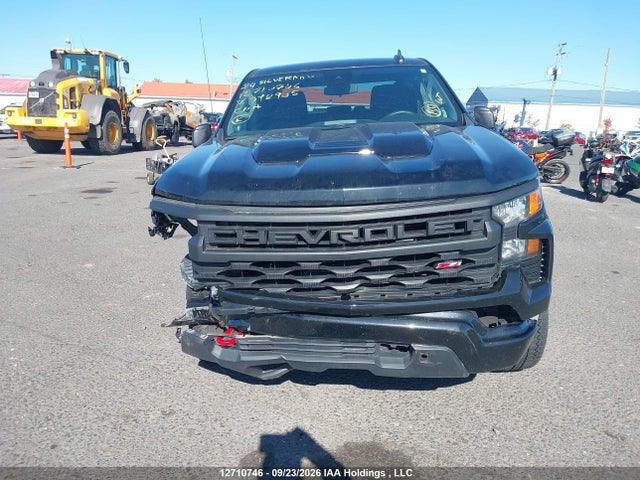 Продажа на аукционе авто 2024 Chevrolet Silverado K1500 Trail Boss Custom, vin: 3GCPDCEK9RG392905, номер лота: 12710746