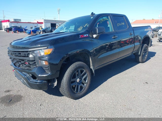 Продажа на аукционе авто 2024 Chevrolet Silverado K1500 Trail Boss Custom, vin: 3GCPDCEK9RG392905, номер лота: 12710746