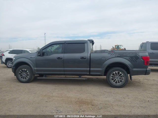 Продаж на аукціоні авто 2019 Ford F150 Supercrew, vin: 1FTFW1E5XKFB07852, номер лоту: 12710913