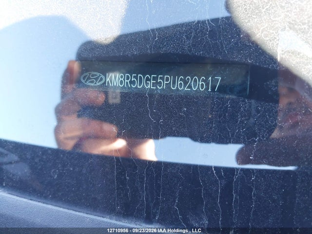 Hyundai Palisade 2023 KM8R5DGE5PU620617 Image 19