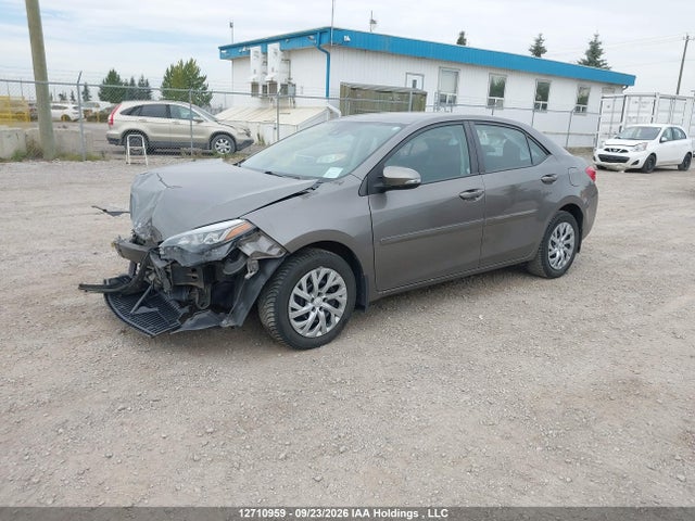 2T1BURHE2KC130310 Toyota Corolla L/le/xle/se/xse