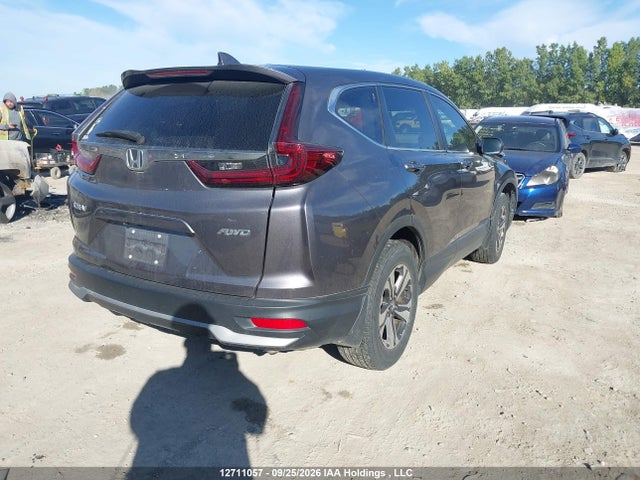 Honda CR-V LX 2020 2HKRW2H22LH212090 Image 4
