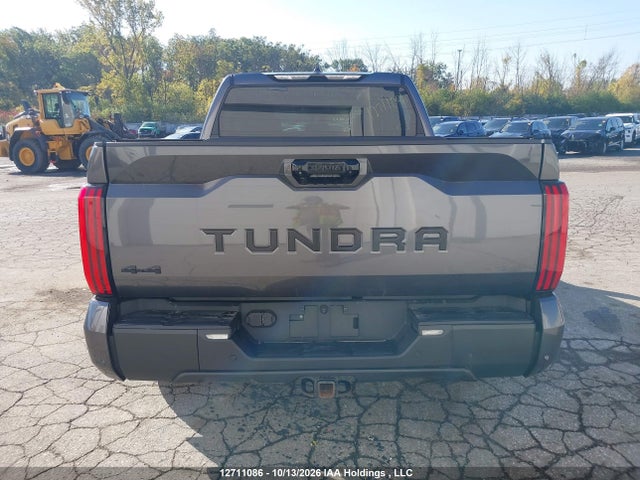 5TFWA5DB7RX168822 Toyota Tundra Crewmax Limited/crewmax Platinum/crewmax 1794