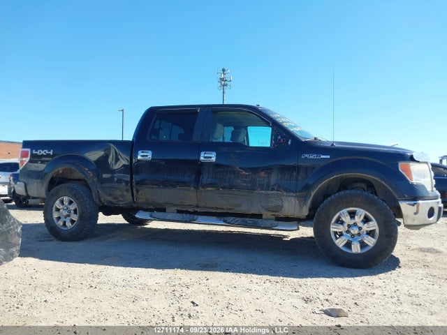 Продаж на аукціоні авто 2009 Ford F150 Supercrew, vin: 1FTRW14829FA02872, номер лоту: 12711174