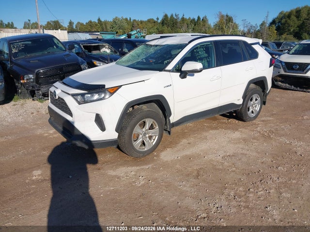 2020 Toyota Rav4 Le მანქანა იყიდება აუქციონზე, vin: 2T3BWRFVXLW061581, აუქციონის ნომერი: 12711203