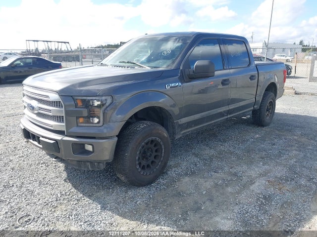 2015 Ford F-150 Xlt მანქანა იყიდება აუქციონზე, vin: 1FTEW1EF2FFC96782, აუქციონის ნომერი: 12711207