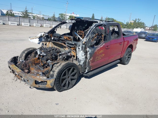 1FTEW3LP9RFB53050 Ford F150 Xlt
