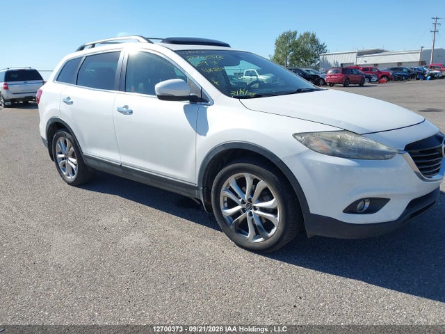 Auction sale of the 2013 Mazda Cx-9 Gt, vin: JM3TB3DA6D0416854, lot number: 12700373