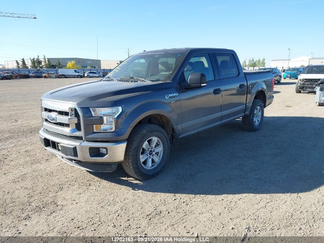1FTEW1EF0FKD73303 Ford F-150 Xlt