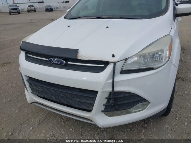 Ford Escape 2014 1FMCU9GX5EUC25003 Image 6