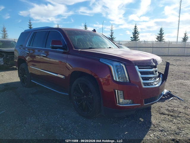 12711559 :رقم المزاد ، 1GYS4DKJ6GR375093 vin ، 2016 Cadillac Escalade Platinum مزاد بيع