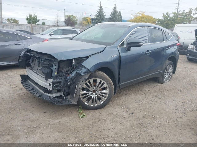 Продаж на аукціоні авто 2021 Toyota Venza Xle, vin: JTEAAAAHXMJ010915, номер лоту: 12711924