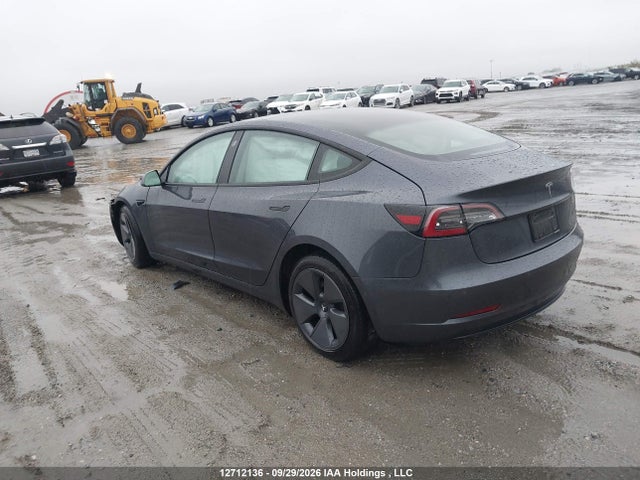 Tesla MODEL 3 2021 5YJ3E1EA6MF022162 Image 3