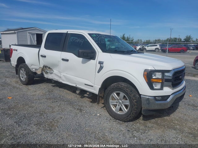 Продаж на аукціоні авто 2023 Ford F150 Supercrew, vin: 1FTFW1EDXPFC88532, номер лоту: 12712144