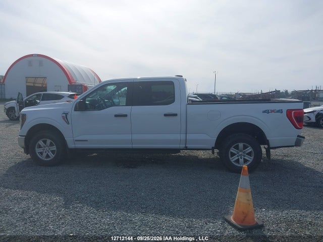 Продажа на аукционе авто 2023 Ford F150 Supercrew, vin: 1FTFW1EDXPFC88532, номер лота: 12712144